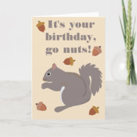 La ardilla gris suave divertida aguanta nueces cum