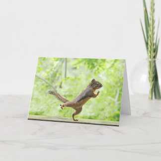 Tarjeta La ardilla linda haciendo tai chi