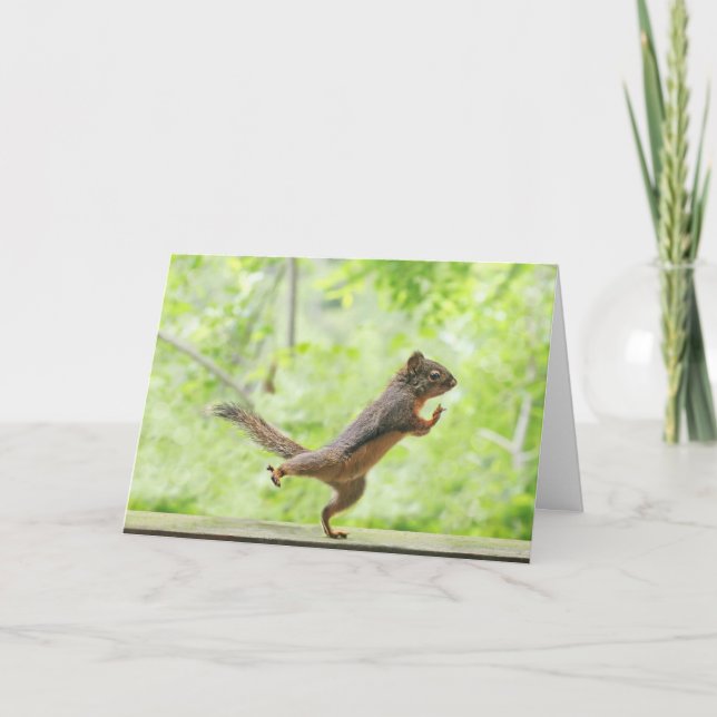 Tarjeta La ardilla linda haciendo tai chi (Anverso)