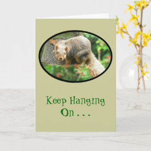 Tarjeta La ardilla se aferra al alimentador de aves, sigue