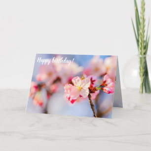 Tarjeta La Belleza Brillante De Las Flores De Sakura Rosa