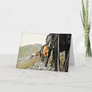 Tarjeta La belleza de Chisana