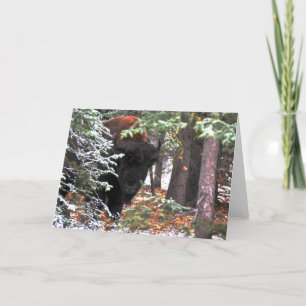 Tarjeta La belleza de Chisana