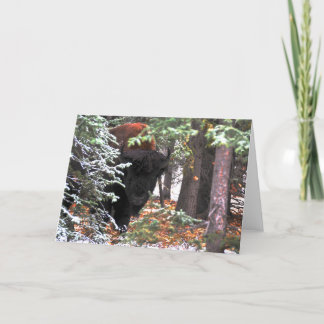 Tarjeta La belleza de Chisana