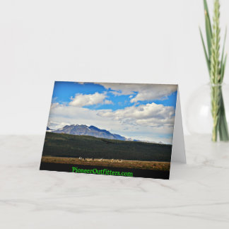 Tarjeta La belleza de Chisana