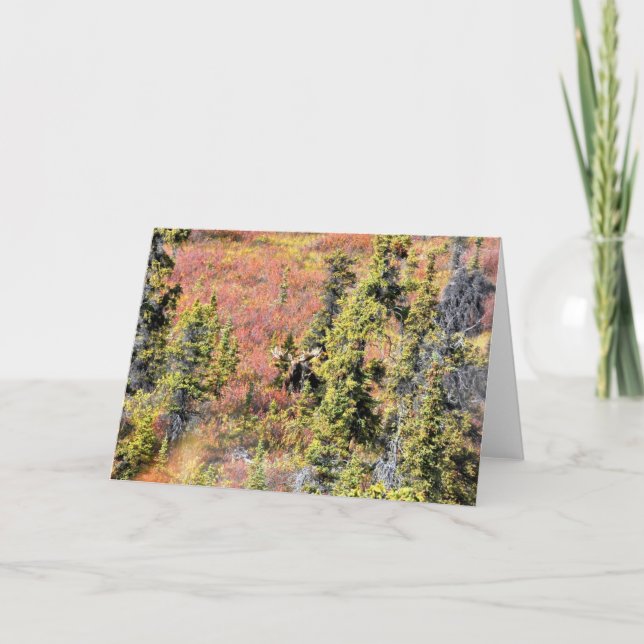 Tarjeta La belleza de Chisana (Anverso)