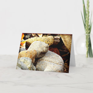 Tarjeta La belleza de Chisana