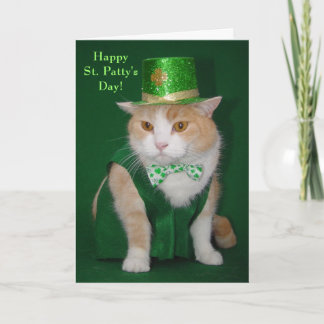 Tarjeta La bendición irlandesa de Bubba Kitty