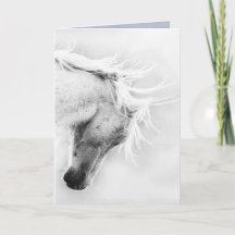 La cabeza de la libertad agita la carta de saludo 