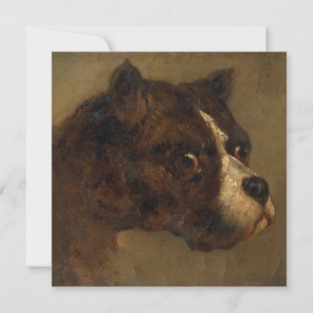 Tarjeta La cabeza de un Bulldog (Anverso)