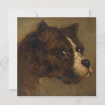 La cabeza de un Bulldog