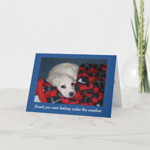 Tarjeta La cachorro se pone bien