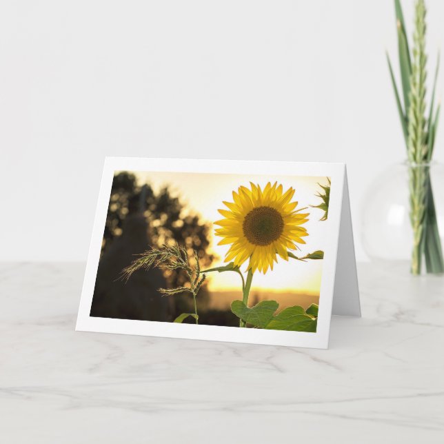 TARJETA LA CAÍDA ESTÁ AQUÍ Y LA GRACIAS ESTÁ CERCA (Anverso)