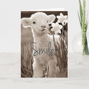 TARJETA **LA CAPA DE BEBÉS DULCE ES TAN FELIZ PARA USTEDES