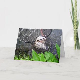 Tarjeta La captura de papá del día