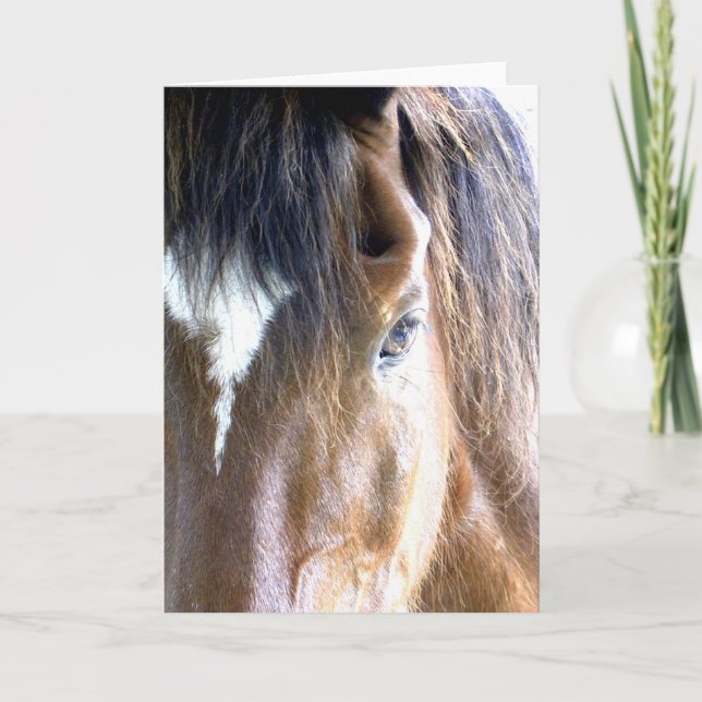 Tarjeta La cara de caballo del alma Fotografía de cerca (Anverso)