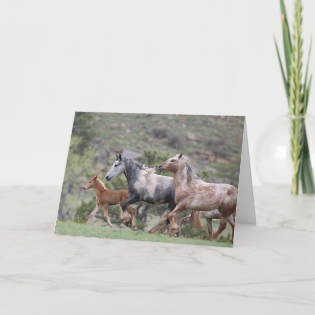 Tarjeta La carrera de la libertad II: Gala al saludo de la (Anverso)