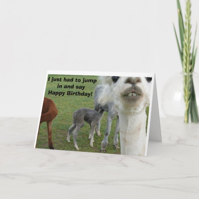 Tarjeta La carta de cumpleaños de la Alpaca - Naturaleza i (Anverso)