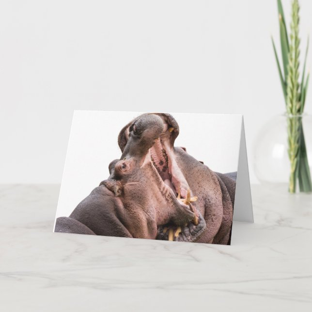 Tarjeta La carta de dos Big Mouth Hippo (Anverso)