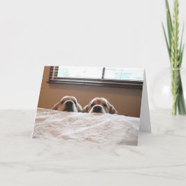 Tarjeta La carta del día de la madre