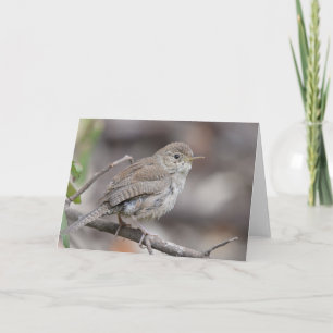Tarjeta La Casa Wren