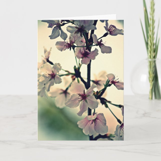 Tarjeta La danza delicada de la primavera (espacio en (Anverso)