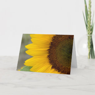 Tarjeta La derecha oscura del girasol