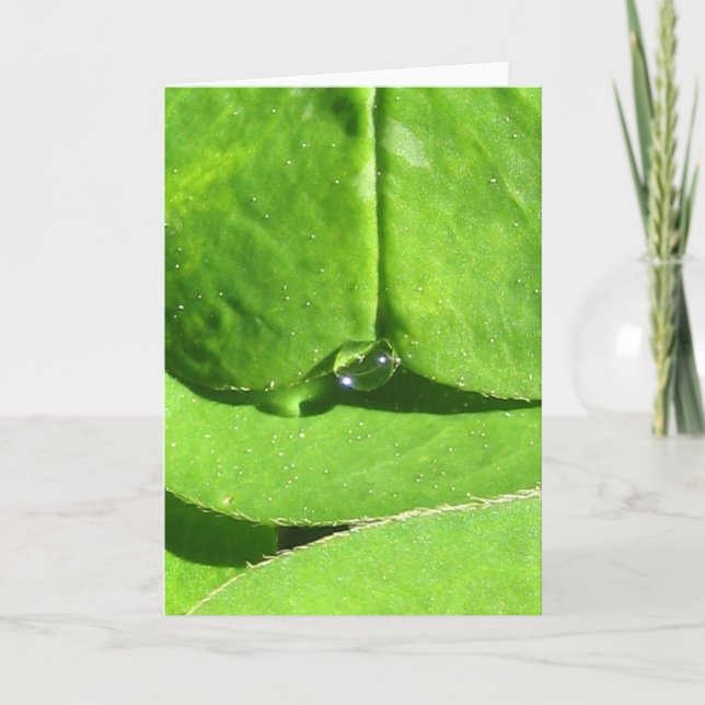 Tarjeta La diosa de la naturaleza se arrastra con el perro (Anverso)