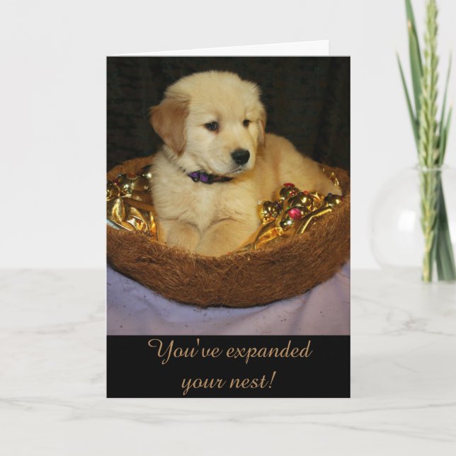 Tarjeta La expansión dorada de la nueva adición del nido (Anverso)