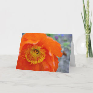 Tarjeta La flor anaranjada