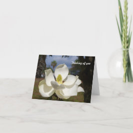 Tarjeta La flor blanca de la magnolia dice el pensamiento
