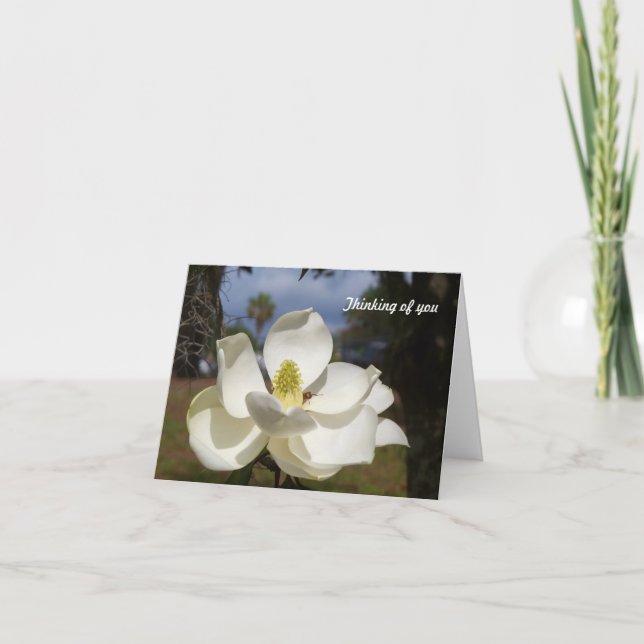 Tarjeta La flor blanca de la magnolia dice el pensamiento (Anverso)