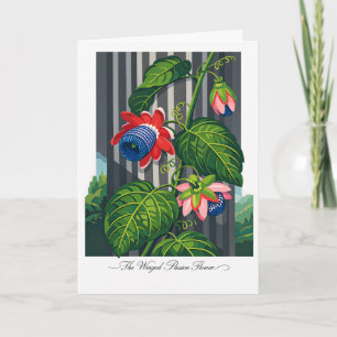Tarjeta La Flor de la Pasión Alada Arte Botánico