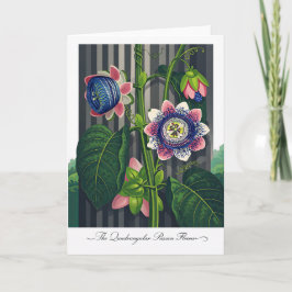 Tarjeta La Flor de la Pasión Cuadrangular Botánica Moderna
