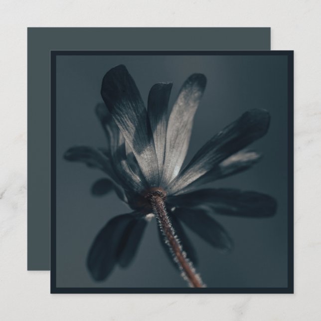 Tarjeta La Flor Deliciosamente Oscura (Anverso / Reverso)