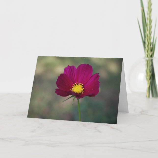 Tarjeta La flor perfecta de la hermana (Anverso)