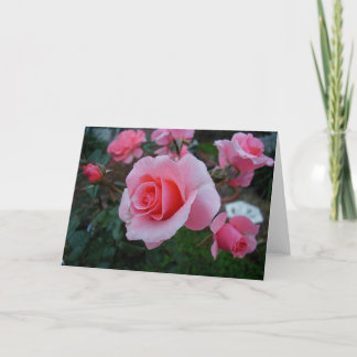 Tarjeta La fruta cítrica toma el pelo