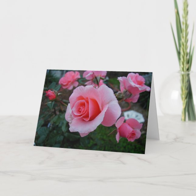 Tarjeta La fruta cítrica toma el pelo (Anverso)