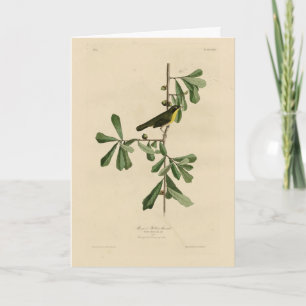Tarjeta La garganta amarilla de Roscoe, los pájaros de Amé