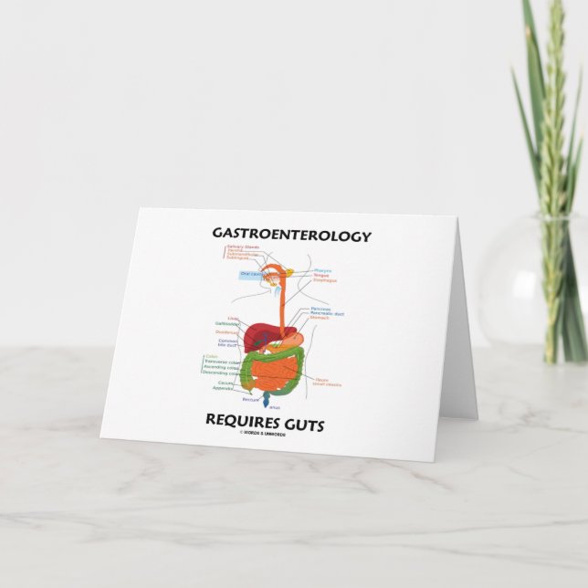 Tarjeta La gastroenterología requiere la tripa (el sistema (Anverso)