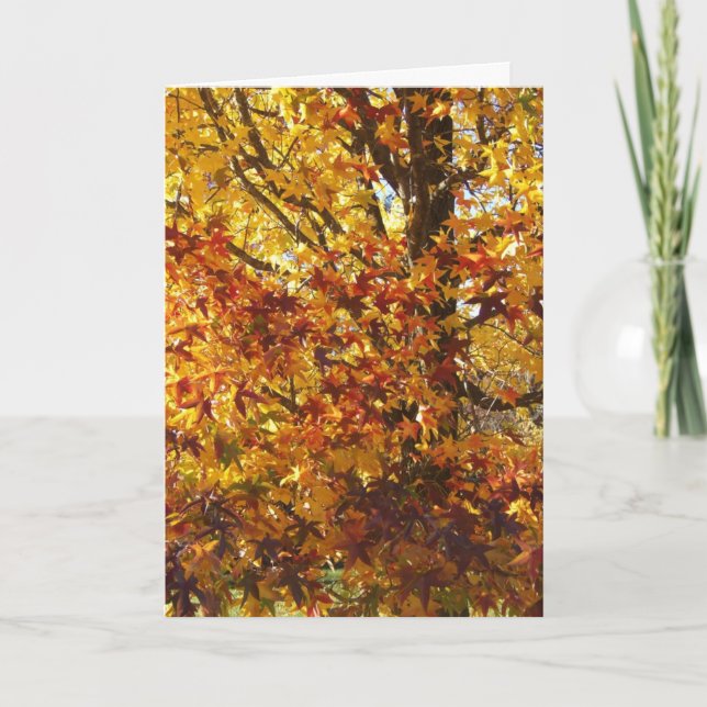 Tarjeta La gloria otoñal de Dios (Anverso)