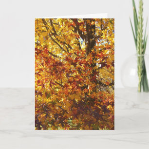 Tarjeta La gloria otoñal de Dios