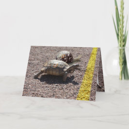 Tarjeta La gran carrera de tortugas y caracoles