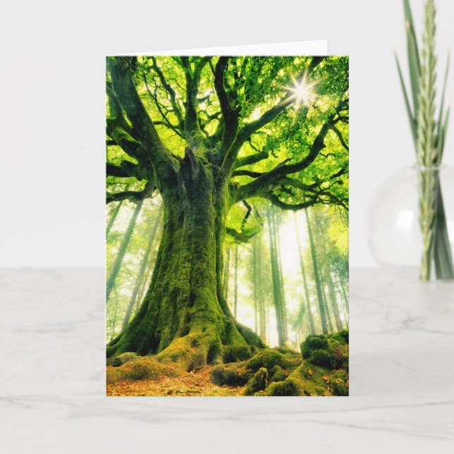 Tarjeta La haya de Ponthus (Anverso)