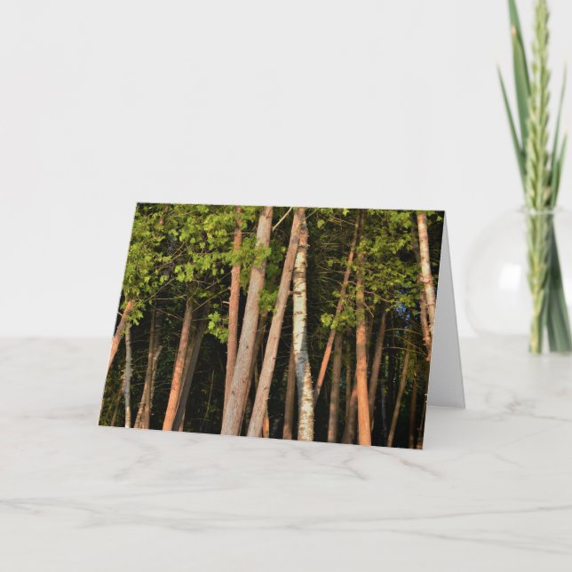 Tarjeta La Hora de Oro de los Árboles Forestales Moody (Anverso)