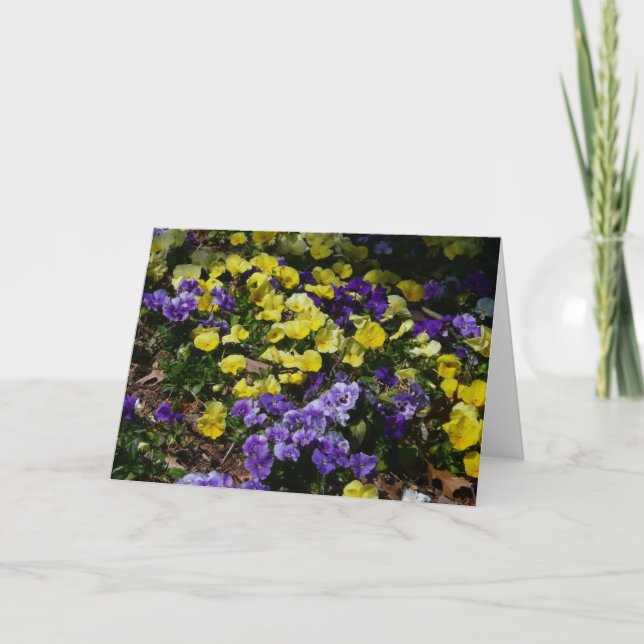 Tarjeta La ladera de los Pansies morado y amarillo (Anverso)