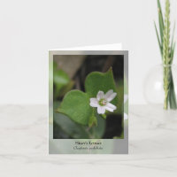 La lechuga del minero - Notecard nativo