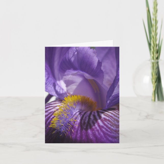 Tarjeta La lengua de Iris (Anverso)