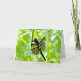 Tarjeta La libélula en el jardín