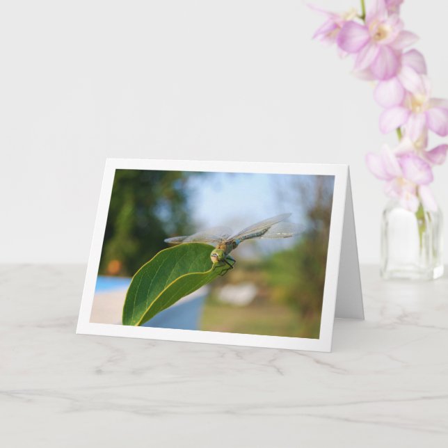 Tarjeta La libélula verde (Orquídea)